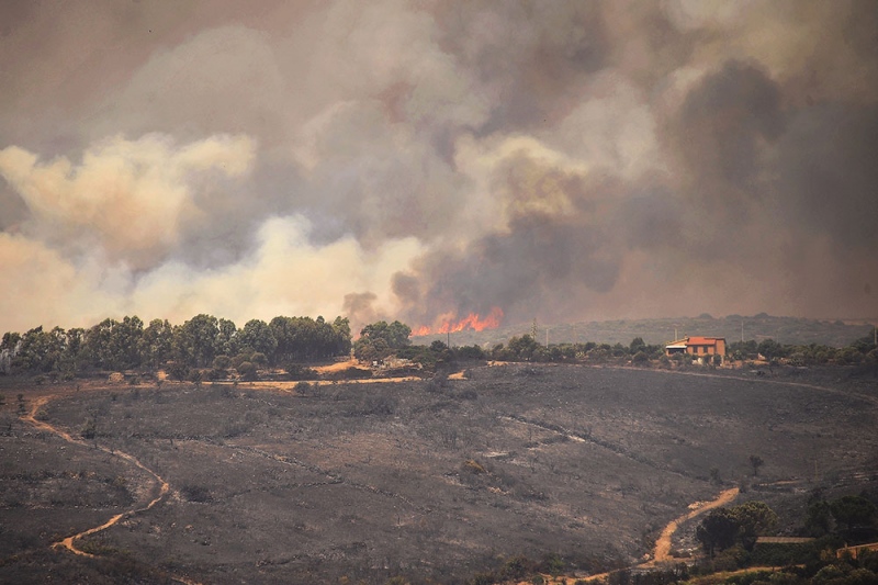 南欧多国遭遇野火欧洲环境署警告该地区受气候变化影响大